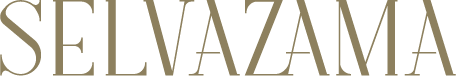 Selvazama V2